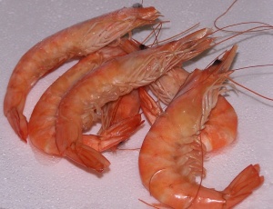 imagen Langostino cocido