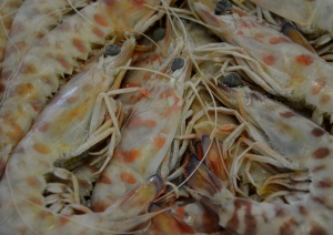 imagen Langostino grande mediterráneo Pack de 1 KILO