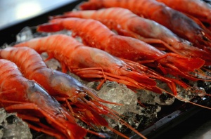 imagen MARISCOS