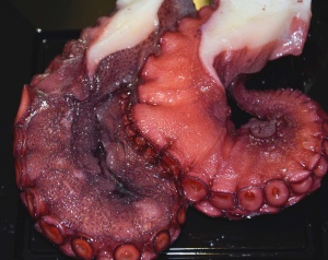 imagen Pulpo